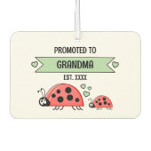 Promoted to grandma ladybugs photo green luchtverfrisser (Voorkant)