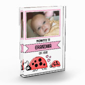 Promoted to grandma ladybugs pink fotoblokken (Links)