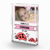 Promoted to grandma ladybugs pink fotoblokken (Rechts)