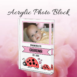 Promoted to grandma ladybugs pink fotoblokken