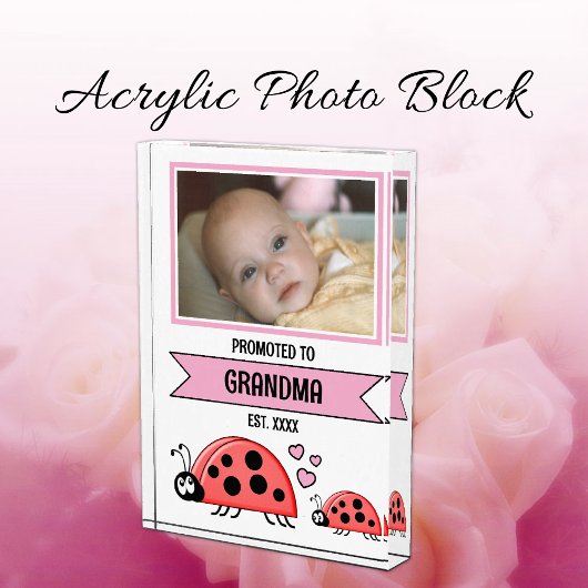 Promoted to grandma ladybugs pink fotoblokken