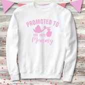 Promoted to Mommy 2025 Stork Girl Genderonthulling Trui
