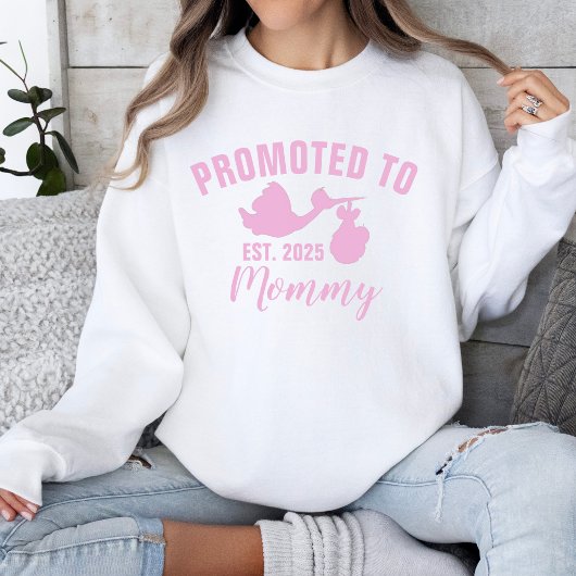 Promoted to Mommy 2025 Stork Girl Genderonthulling Trui