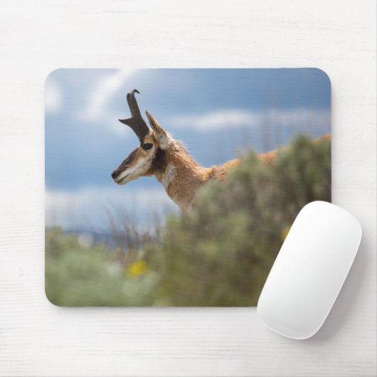 Prong Horn Antelope Muismat (Met muis)