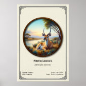 Pronghorn (American Antelope) Zoology Series Poster (Voorkant)