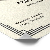 Pronghorn (American Antelope) Zoology Series Poster (Hoek)