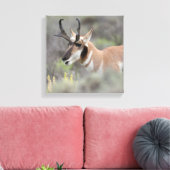 Pronghorn Antelope Buck | Grand Tetons Canvas Afdruk (Insitu (Woonkamer))