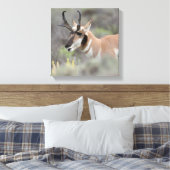 Pronghorn Antelope Buck | Grand Tetons Canvas Afdruk (Insitu (Slaapkamer))