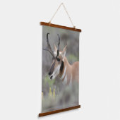 Pronghorn Antelope Buck | Grand Tetons Hangend Wandkleed (Gebogen)