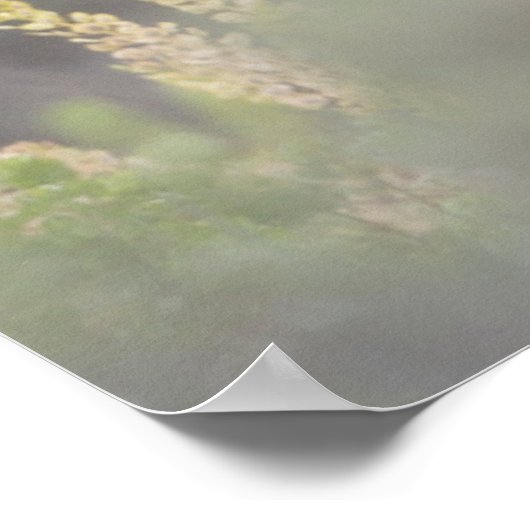 Pronghorn Antelope Buck | Grand Tetons Poster (Hoek)