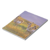 Pronghorn Antelope in Montana Notitieblok (Linkerzijde)
