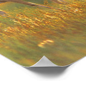 Pronghorn Antelope in Montana Poster (Hoek)