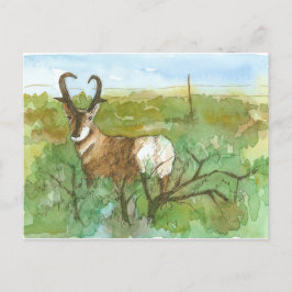 Pronghorn Antelope-woestijn Waterverf landschap Briefkaart