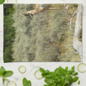 Pronghorn at Grand Teton National Park Theedoek (Gevouwen)