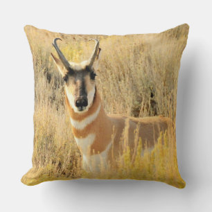 Pronghorn Buck Kussen