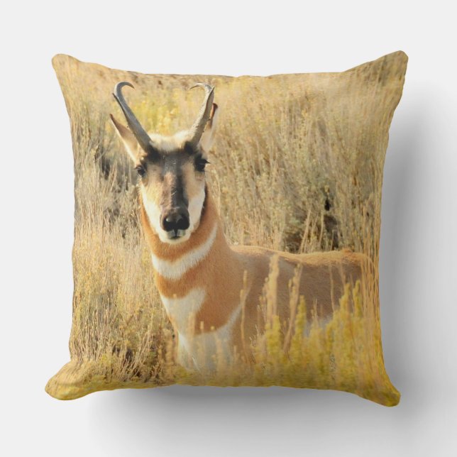 Pronghorn Buck Kussen (Voorkant)