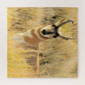 Pronghorn Buck Legpuzzel (Horizontaal)