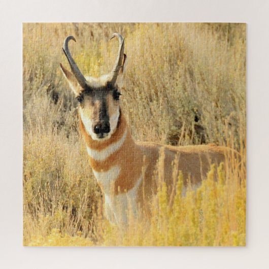 Pronghorn Buck Legpuzzel (Verticaal)