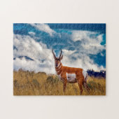 Pronghorn Deer Montana. Legpuzzel (Horizontaal)