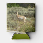 Pronghorn in Grand Teton National Park Blikjeskoeler (Voorkant)