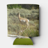 Pronghorn in Grand Teton National Park Blikjeskoeler (Achterkant)