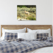 Pronghorn in Grand Teton National Park Canvas Afdruk (Insitu (Slaapkamer))