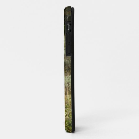 Pronghorn in Grand Teton National Park Case-Mate iPhone Case (Achterkant/links)