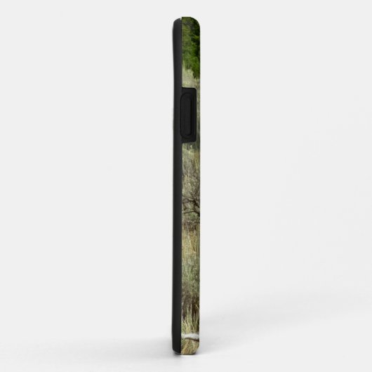 Pronghorn in Grand Teton National Park Case-Mate iPhone Case (Achterkant/rechts)