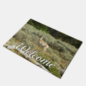 Pronghorn in Grand Teton National Park Deurmat (Schuin)