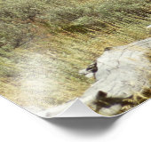 Pronghorn in Grand Teton National Park Foto Afdruk (Hoek)