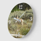 Pronghorn in Grand Teton National Park Grote Klok (Hoek)