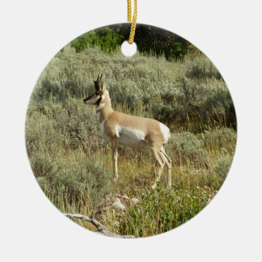 Pronghorn in Grand Teton National Park Keramisch Ornament (Voorkant)