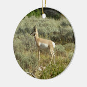 Pronghorn in Grand Teton National Park Keramisch Ornament (Links)