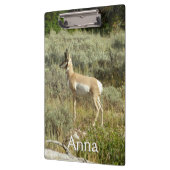 Pronghorn in Grand Teton National Park Klembord (Links)