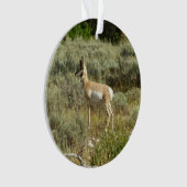Pronghorn in Grand Teton National Park Ornament (voorkant)