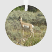 Pronghorn in Grand Teton National Park Ornament (achterkant)