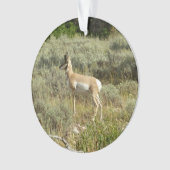 Pronghorn in Grand Teton National Park Ornament (voorkant)
