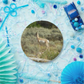 Pronghorn in Grand Teton National Park Papieren Bordje (Feest)