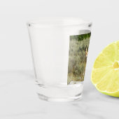 Pronghorn in Grand Teton National Park Shot Glas (Links)