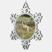 Pronghorn in Grand Teton National Park Tin Sneeuwvlok Ornament (Rechts)