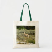 Pronghorn in Grand Teton National Park Tote Bag (Voorkant)