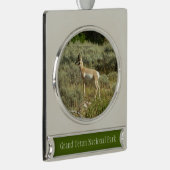 Pronghorn in Grand Teton National Park Verzilverd Banner Ornament (Rechts)