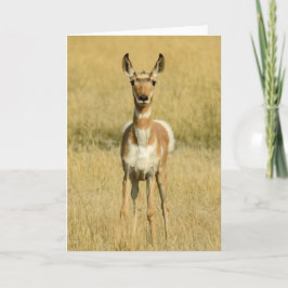 Pronghorn Notecard Kaart