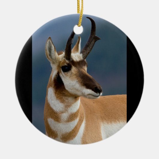Pronghorn Portrait Keramisch Ornament (Voorkant)