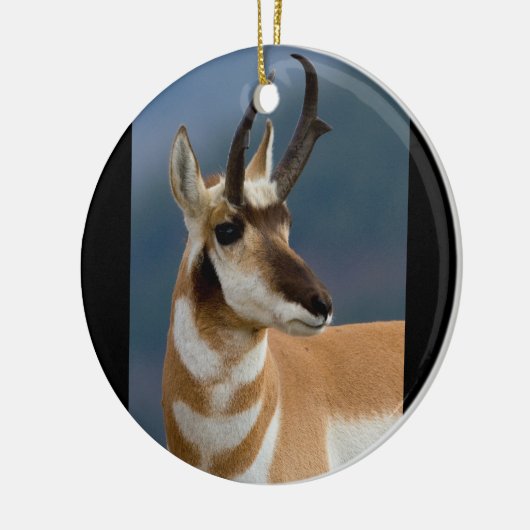 Pronghorn Portrait Keramisch Ornament (Links)