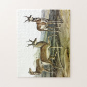 Pronghorn (Prong-horned Antelope) van Audubon Legpuzzel (Verticaal)