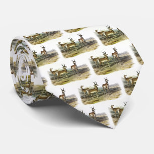 Pronghorn (Prong-horned Antelope) van Audubon Stropdas