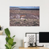 Pronghorn Sheep Poster (Thuiskantoor)