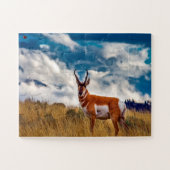 Pronhorn Deer Wyoming Legpuzzel (Horizontaal)