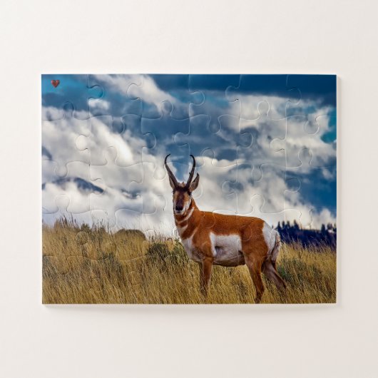 Pronhorn Deer Wyoming Legpuzzel (Horizontaal)